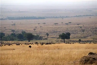 Lanmè machandiz ki soti nan Lachin nan Somali